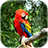 icon Parrot Live Wallpaper 5.5