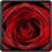 icon Red Rose Live Wallpaper 16.0