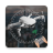 icon GoFlyD.J.IDrone 11.0