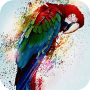 icon Multicolored parrot