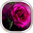 icon Pink Rose Live Wallpaper 20.0