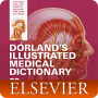 icon Medical Dictionary