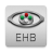 icon Eye Handbook 10.5.3