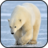 icon Polar Bear Wallpapers 3.0