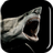 icon Shark 3D Live Wallpaper 4.0