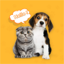 icon Dog & Cat Translator Prank App voor Samsung Galaxy Young 2