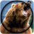 icon Bear Hunting 1.8