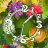 icon Flower Parade Clock Widget 1.2.4