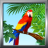 icon Bird Ringtones 8.0