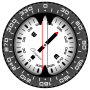 icon Compass PRO voor oukitel K5