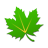 icon Greenify 5.1.1