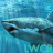 icon sharks live wallpapers 10.05
