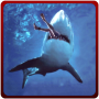 icon Angry Shark Attack