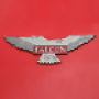 icon FALCON