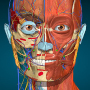 icon Anatomy Learning - 3D Anatomy voor Samsung Galaxy mini 2 S6500