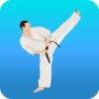 icon Karate Workout At Home voor bq BQ-5007L Iron