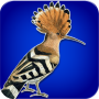 icon هدهد voor Leagoo Z7