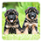 icon German Shepherds LWP 2.1