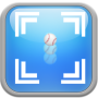 icon Tap Baseball
