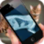 icon Simulation XRay Cat voor tecno Phantom 6