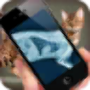 icon Simulation XRay Cat voor LG Stylo 4