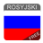 icon Rosyjski 9.0.18