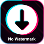 icon TikTok DownloadNo Watermark