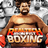 icon Iron Fist Boxing 5.1.13