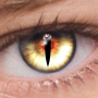 icon FoxEyesChange Eye Color
