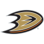 icon Washington Capitals voor intex Elyt E6