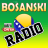 icon Bosanski Radio 1.3