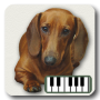 icon Piano of dogs
