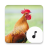 icon Chicken Sounds 4.9.1