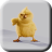 icon Chickens Live Wallpaper 2.0