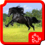 icon Beautiful Horses Puzzles