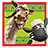 icon Llama League 1.0.11