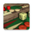icon Backgammon V+ 5.25.80