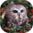 icon Owls live wallpaper 4.0