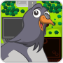 icon Traffic Pigeon Racer