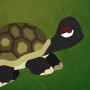 icon Grumpy Turtle