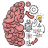 icon Brain Test 2.750.0