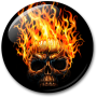 icon Skulls Live Wallpaper voor Samsung Droid Charge I510