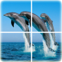 icon Ocean Puzzle