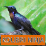 icon Master Kicau Kolibri Ninja