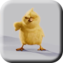 icon Chickens Live Wallpaper