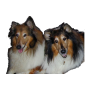 icon Dog Training voor VKworld Mix3