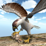 icon American Falcon Wild Sim 2016