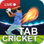 icon T20 Cricket 2017 Live score