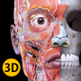 icon Anatomy 3D Atlas voor Meizu MX6