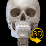 icon Skeleton | 3D Anatomy voor Samsung Galaxy J7 SM-J700F